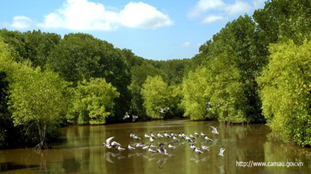 Vườn quốc gia Mũi Cà Mau - khu Ramsar của thế giới