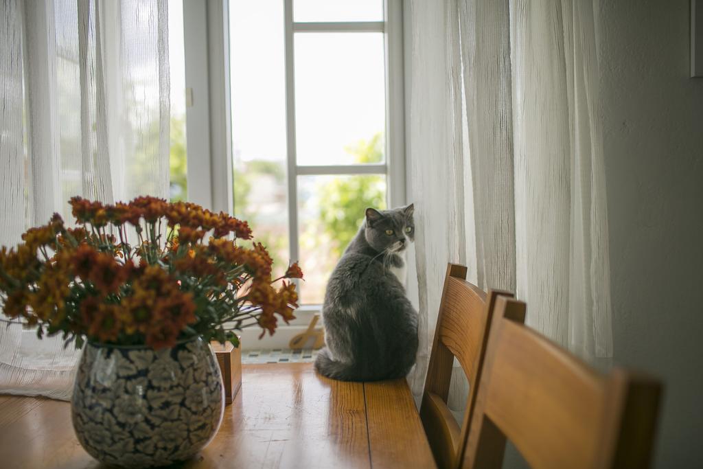 A Little House Đà Lạt