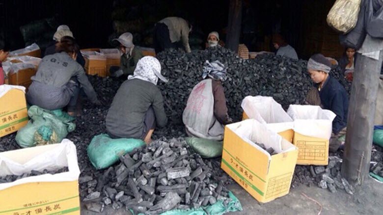 Than củi, mùn cưa “đốt cháy” thị trường xuất khẩu