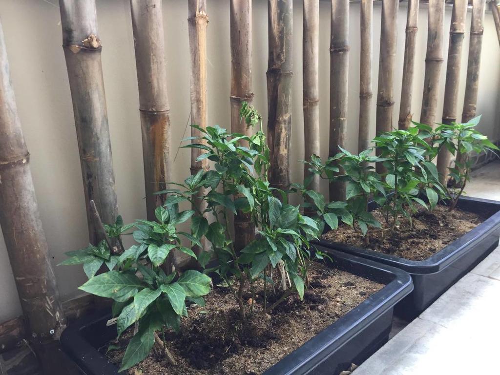 Home – Quy Nhơn Bed & Room