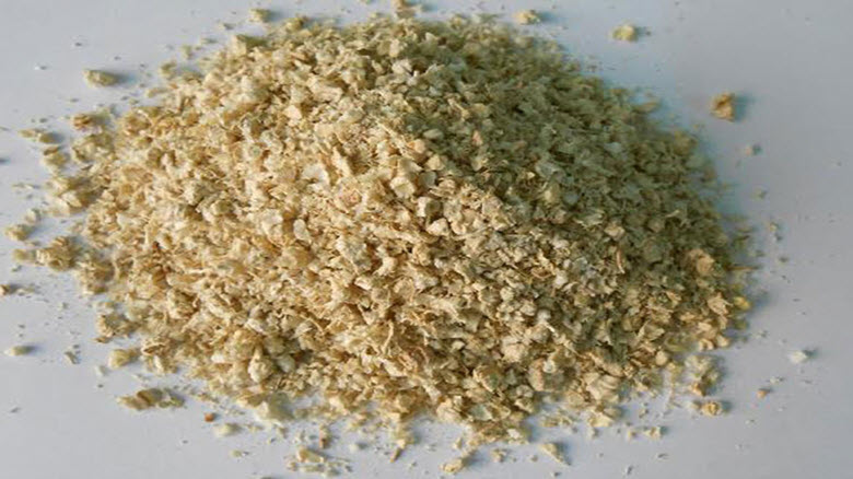 Xuất khẩu phế phẩm nông nghiệp: Cùi bắp xuất ngoại