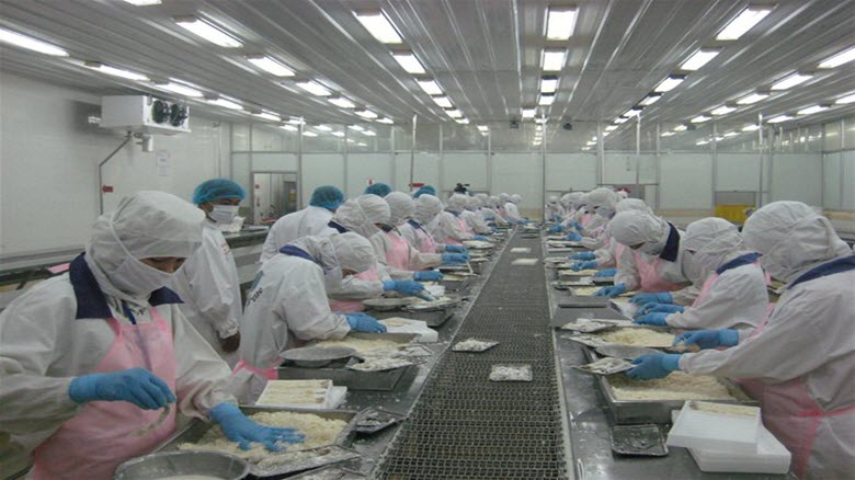  Nhập khẩu hơn 1 tỉ đô la Mỹ thủy sản năm 2015