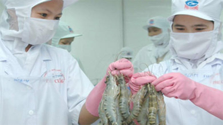 Nhiều tín hiệu triển vọng cho xuất khẩu tôm