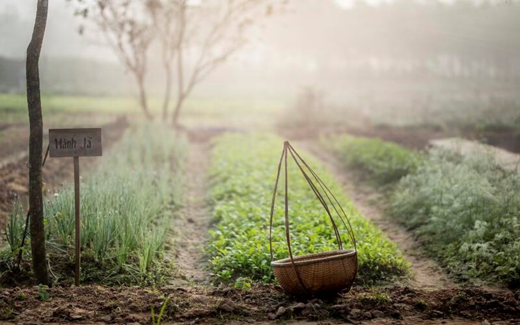 Alba Wellness Resort By Fusion Huế