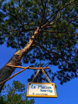 La Maison Homestay Măng Đen