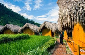  Hoang Su Phi Lodge 