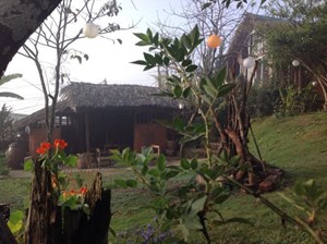 Củi homestay Đà Lạt