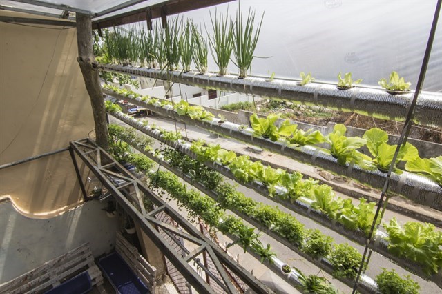 Garden City Homestay