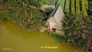 Maison en Bambou Phong-Le Vent