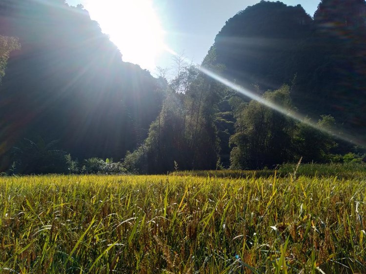 KhuoiKy Ban Gioc Homestay Cao Bằng