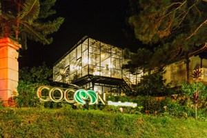 Cocoon Bungalow 