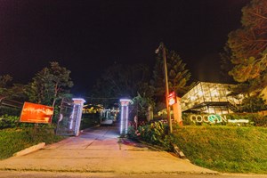 Cocoon Bungalow 