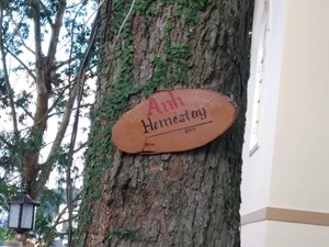 Anh Homestay