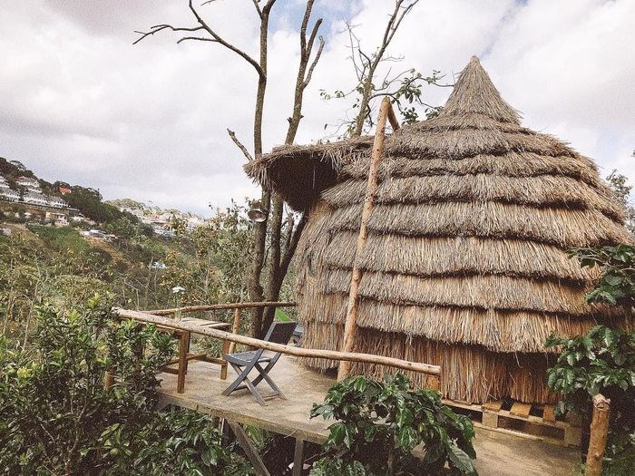 Cú Trên Cây Homestay