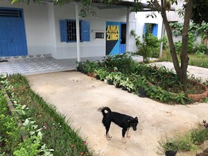 Eco – Chi Homestay