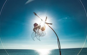 Sunset Sanato Resort & Spa