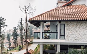 Ville De Mont Moutain Resort – giấc mộng phù hoa giữa rừng thông trăm năm tuổi