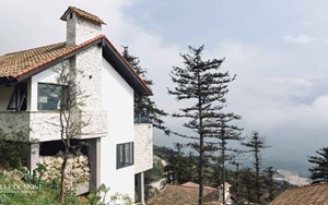 Ville De Mont Moutain Resort – giấc mộng phù hoa giữa rừng thông trăm năm tuổi