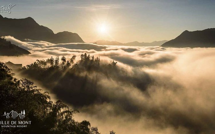 Ville De Mont Moutain Resort – giấc mộng phù hoa giữa rừng thông trăm năm tuổi