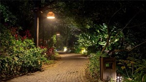 Melia Ba Vì Mountain Retreat: Bản hòa tấu xanh ngời của mây – núi, thân – tâm