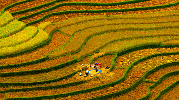   “Việt Nam - Vẻ đẹp bất tận” tiếp tục là biểu trưng của du lịch Việt