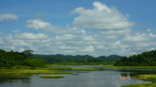 5 trải nghiệm thú vị ở Vườn quốc gia Cát Tiên