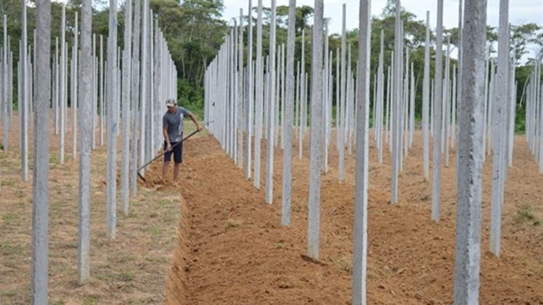 Nóng bỏng đất Phú Quốc: Sốt giá xình xịch