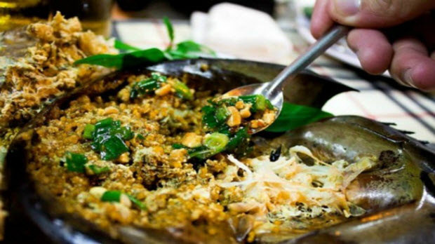 Gỏi sam đậm đà vị biển ở đảo Cát Bà