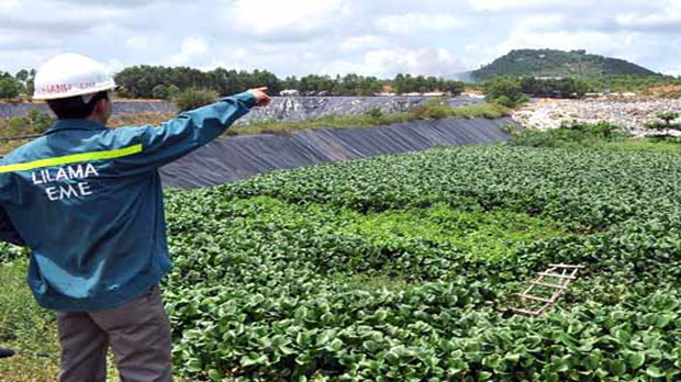  Quảng Ngãi: 90 tỉ đồng xây nhà máy xử lý chất thải y tế