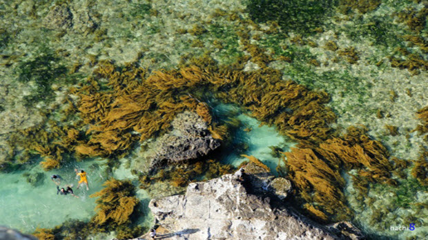 Lịch tàu chạy, giá vé tàu đi đảo Việt Nam