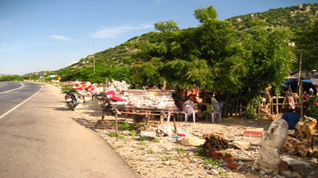 Một ngày trên mảnh đất nắng gió Ninh Thuận