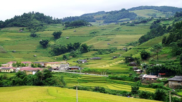 Mù Cang Chải những ngày mùa tháng 9