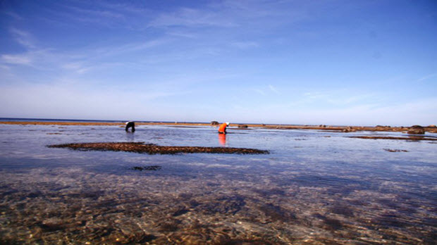 Thăm thẳm Lý Sơn