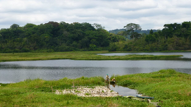 Trải nghiệm xuyên rừng ở Nam Cát Tiên