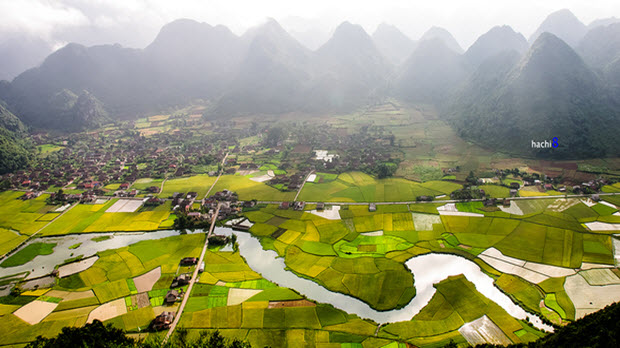 Bắc Sơn rực rỡ những mảng màu lúa chín