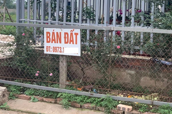 Vật vã nghề môi giới địa ốc: Hết tiền trả lương, đối diện phá sản