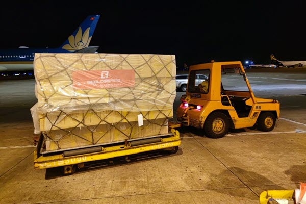 BEE Logistics tiên phong thuê chuyến trọn gói xuất hàng từ Hà Nội đi châu Âu