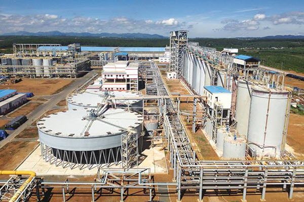 Từ lỗ nặng liên tục, Bô xít Tây Nguyên bất ngờ lãi trăm tỷ