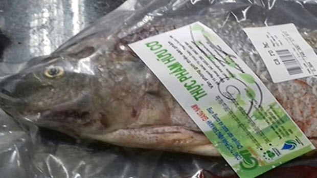  Thịt, tôm, cá… hữu cơ Việt hút nhà đầu tư ngoại