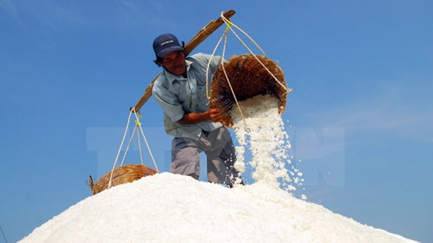 Diêm dân ngậm ngùi giữa mùa muối 'mặn' ở Tân Thuận