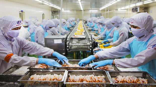  Cà Mau vào quy hoạch phục vụ phát triển công nghiệp chế biến vùng ĐBSCL