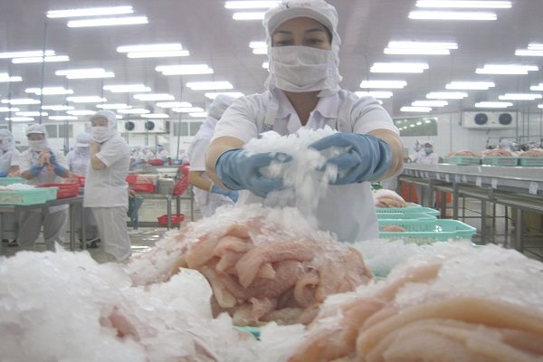 Nhiều đơn hàng xuất cá tra bị đối tác trì hoãn, hủy do Covid-19