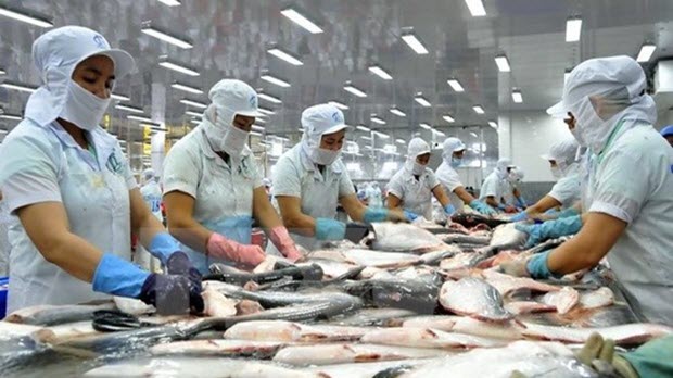 Xuất khẩu thủy sản giảm nhẹ, nhập khẩu tăng cao trong 2 tháng đầu năm 2017