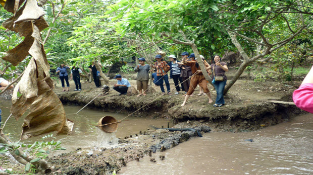 Cẩm nang cho chuyến du lịch xứ dừa Bến Tre