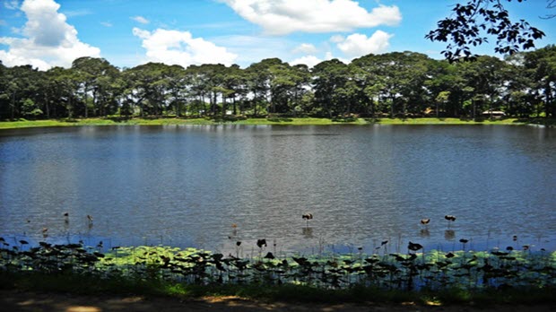 Cẩm nang du lịch "vương quốc dừa sáp" Trà Vinh