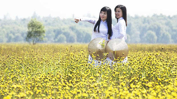 トラムチム国立公園の美しい花畑を訪れる