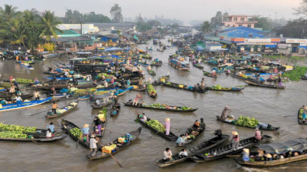 Chợ nổi Ngã Năm - con bạch tuộc giương vòi