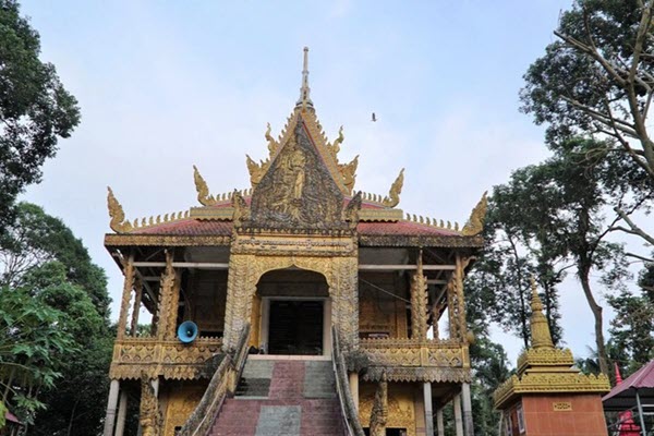 Ngôi chùa có đàn vạc đến ở nhờ hơn 2 thập kỷ, có con thích nghe kinh