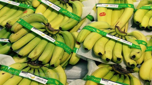 Những lưu ý cho doanh nghiệp Việt khi xuất khẩu chuối sang Trung Quốc