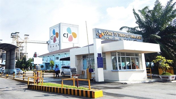  Vì sao CJ đi xây "Cầu Tre"?